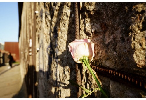 Berlin Wall - Month Twelve